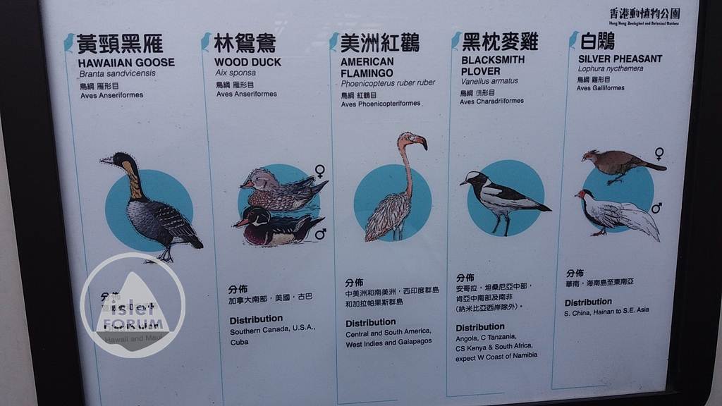 香港動植物公園 (29).jpg