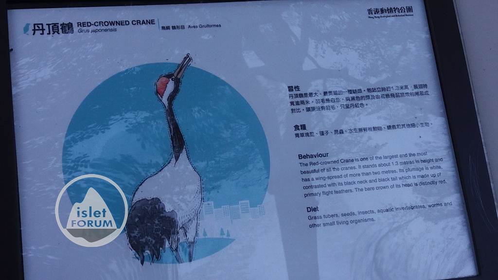 香港動植物公園 (27).jpg
