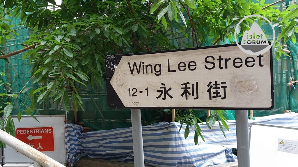 永利街 Wing Lee Street (17).jpg