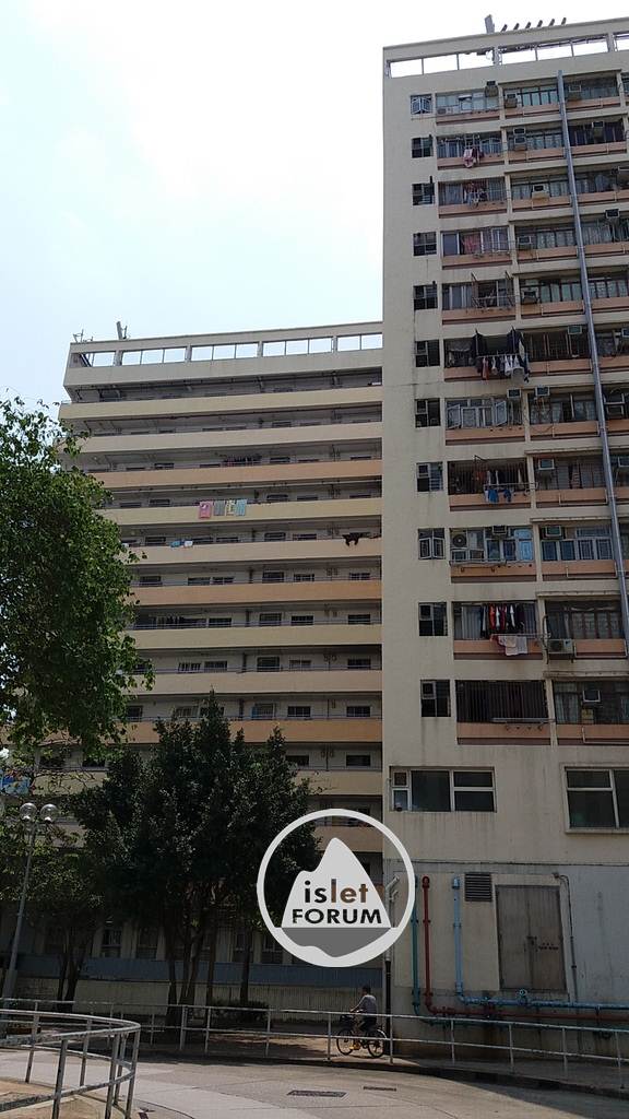 禾輋邨Wo Che Estate (13).jpg