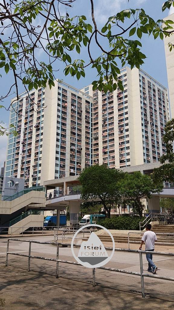 禾輋邨Wo Che Estate (14).jpg