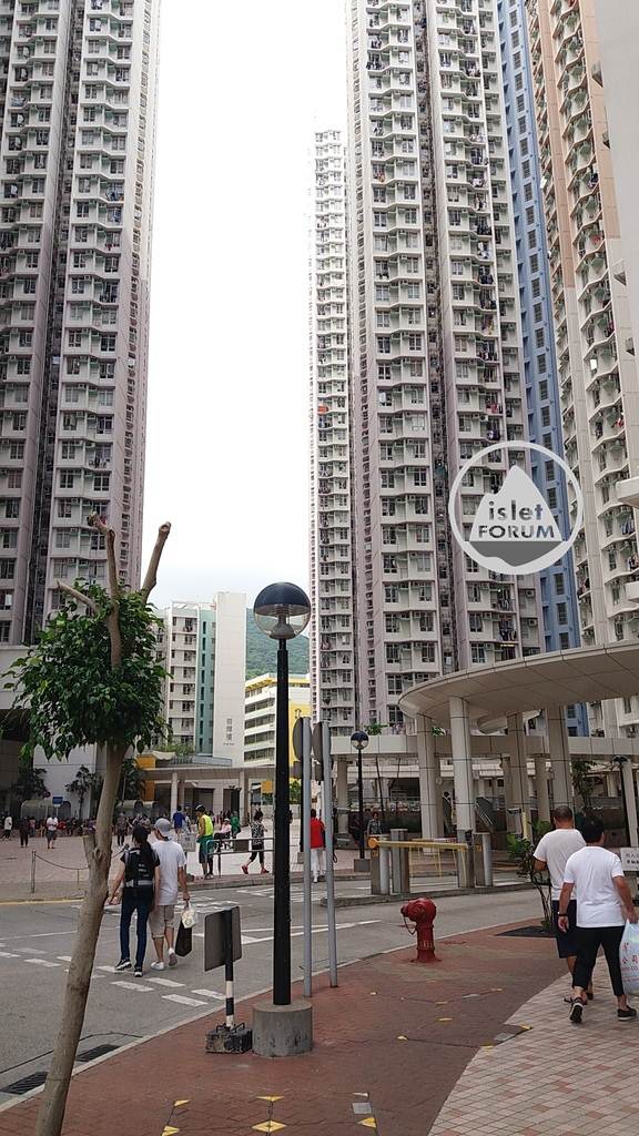 石排灣邨 shek pai wan estate (3).jpg