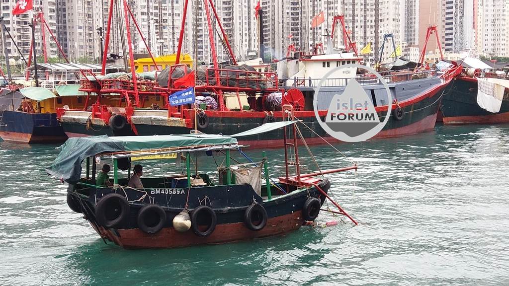 香港仔避風塘的船隻.jpg