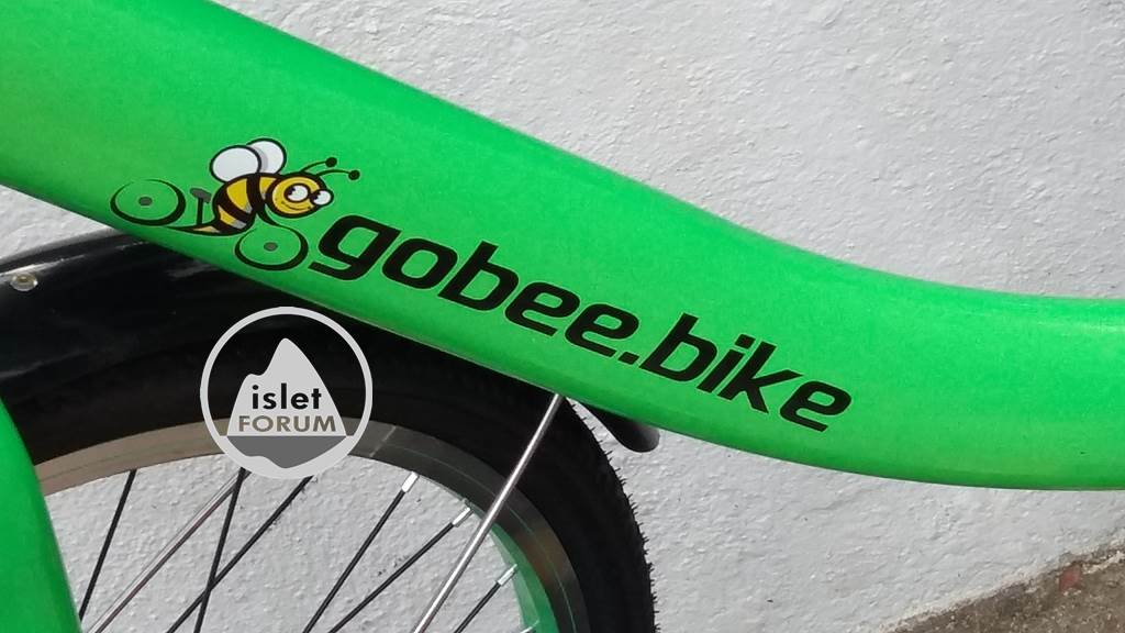 gobee bike (4).jpg
