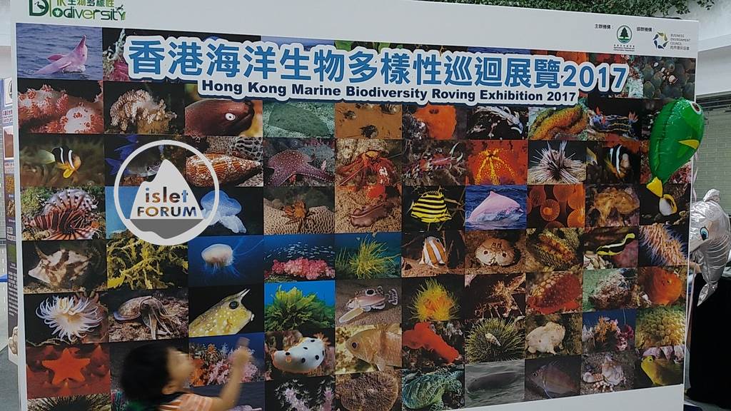 香港海洋生物多樣性巡迴展覽Hong Kong Marine Biodiversity Roving Exhibition (1).jp.jpg