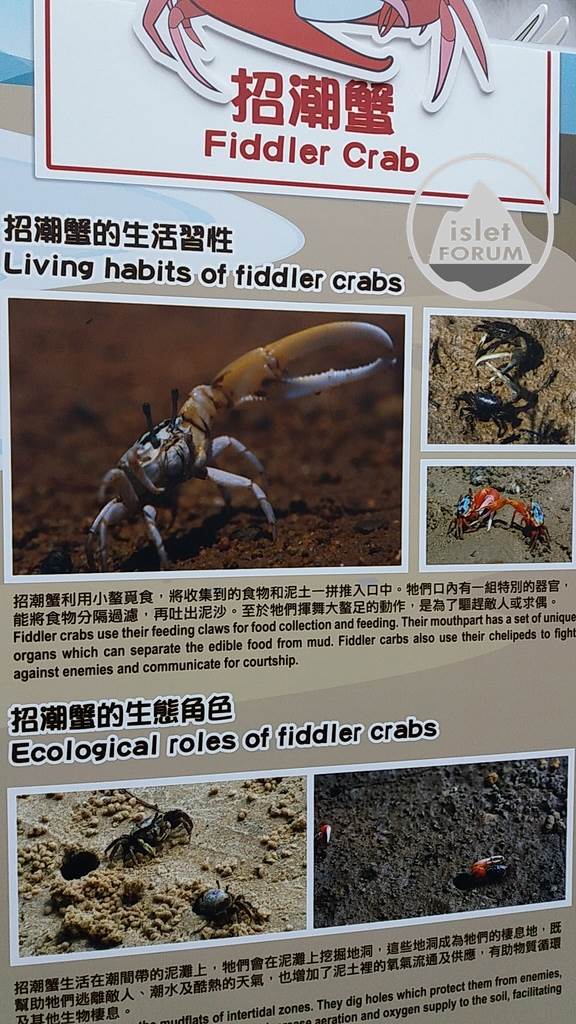 香港海洋生物多樣性巡迴展覽Hong Kong Marine Biodiversity Roving Exhibition (8).jp.jpg