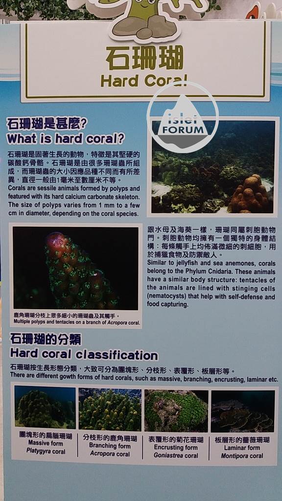 香港海洋生物多樣性巡迴展覽Hong Kong Marine Biodiversity Roving Exhibition (6).jp.jpg