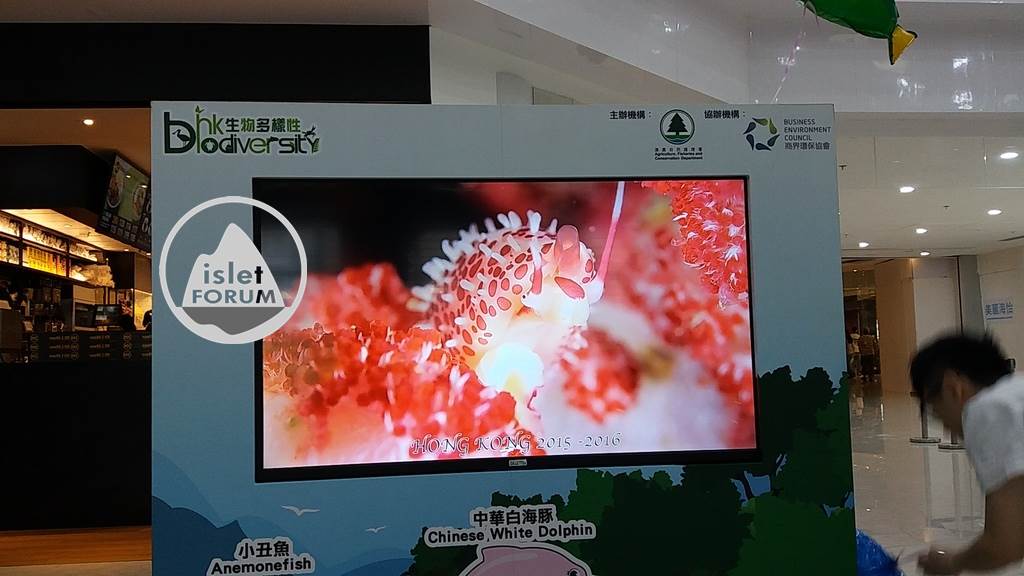 香港海洋生物多樣性巡迴展覽Hong Kong Marine Biodiversity Roving Exhibition (12).j.jpg
