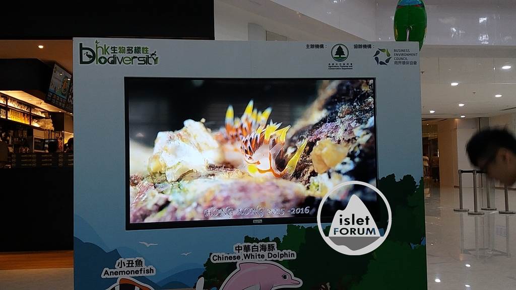 香港海洋生物多樣性巡迴展覽Hong Kong Marine Biodiversity Roving Exhibition3 (1).j.jpg