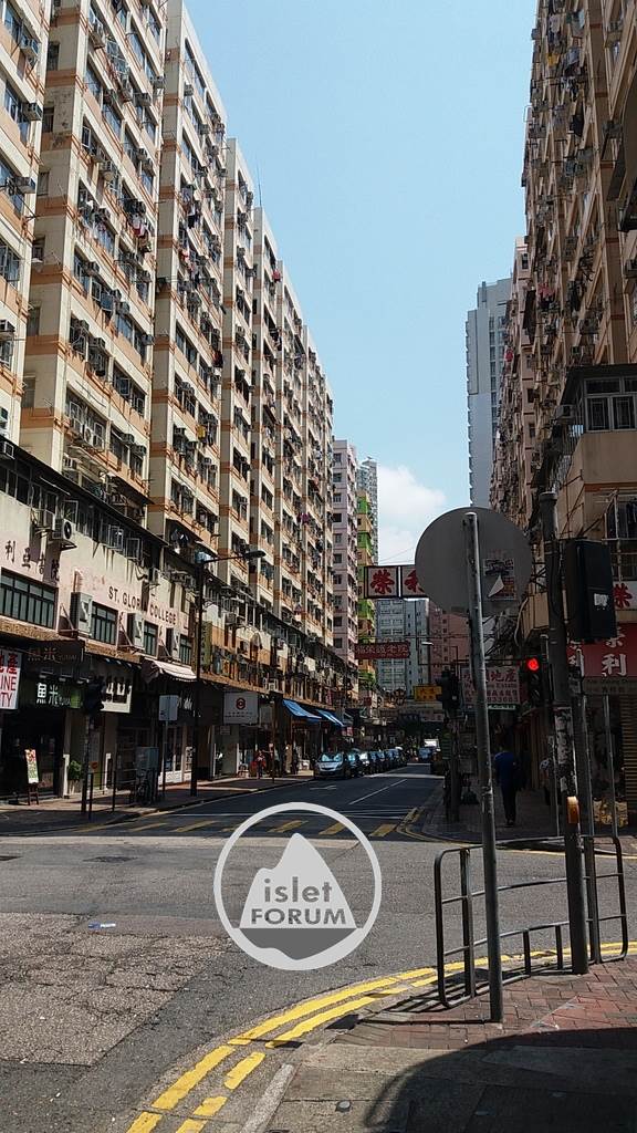 埃華街ivy street (10).jpg