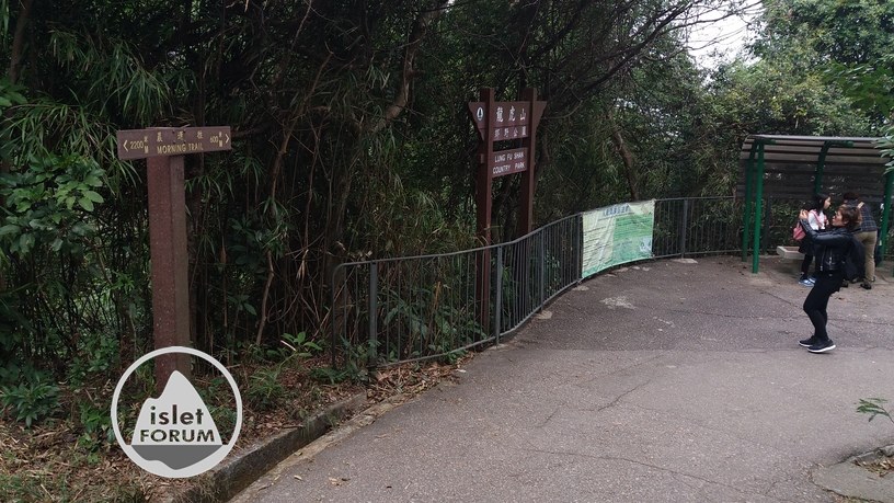 龍虎山郊野公園克頓道hatton road lung fu shan country park (8).jpg