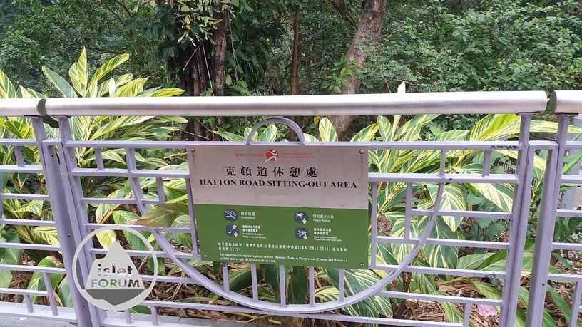 龍虎山郊野公園克頓道hatton road lung fu shan country park (17).jpg