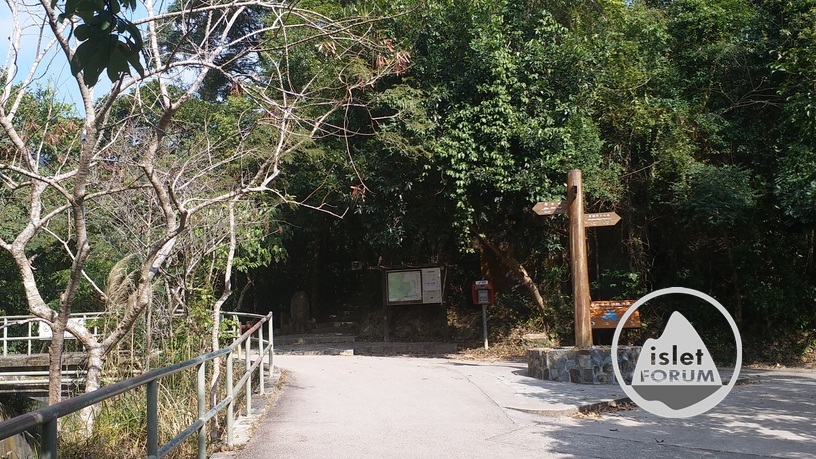 香港仔水塘道aberdeen reservoir road (15).jpg