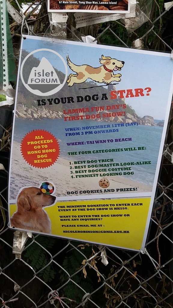 is your dog a star, lamma island.jpg