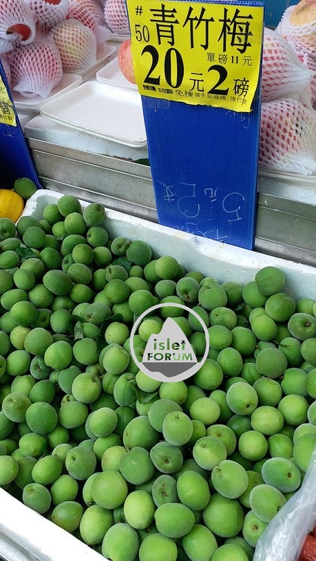 青竹梅 green plum(1).jpg