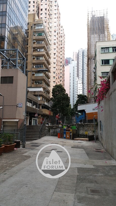 摩羅下街 lower lascar row(3).jpg