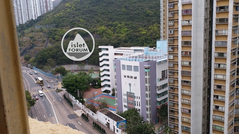 香港南區官立小學Hong Kong Southern District Government Primary School (3).jpg