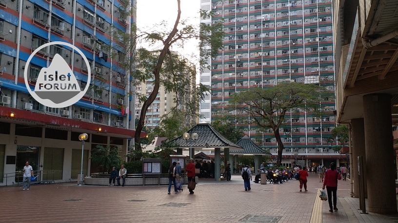 竹園南邨chuk yuen south estate (9).jpg