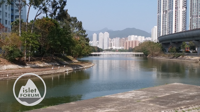 城門河shing mun river 9 (3).jpg
