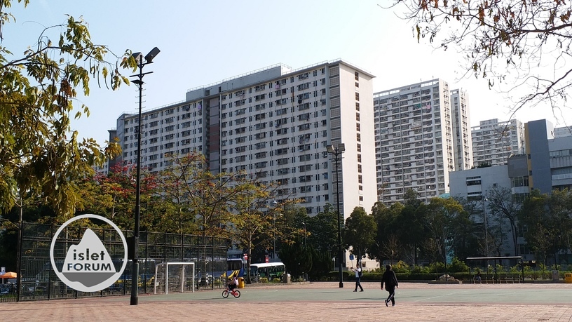 新翠邨sun chui estate 1 (2).jpg
