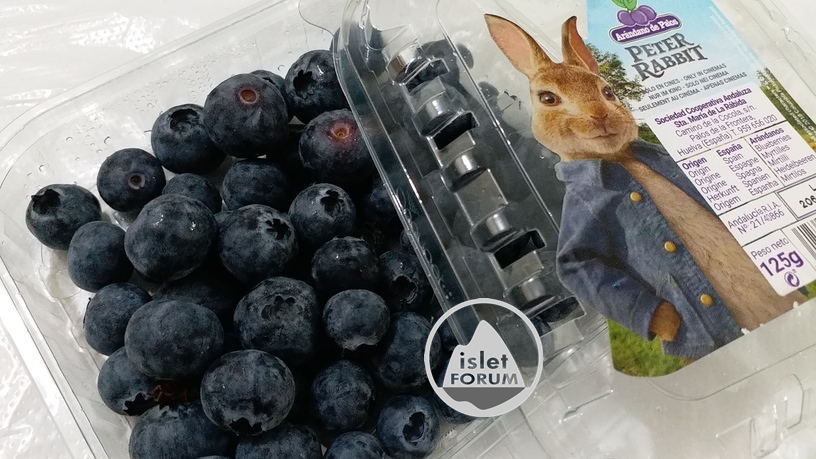 peter rabbit blueberry.jpg