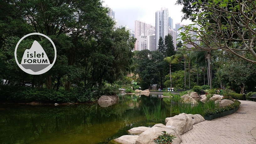 香港公園hong kong park2 (12).jpg
