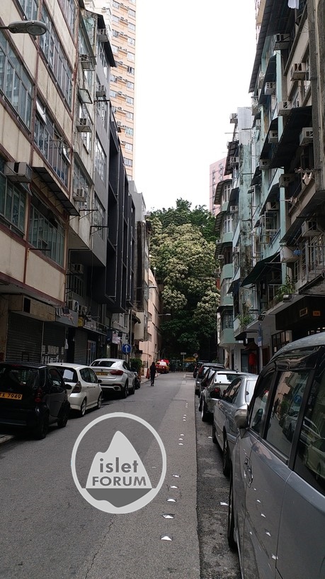 新村街 sun chun street (3).jpg