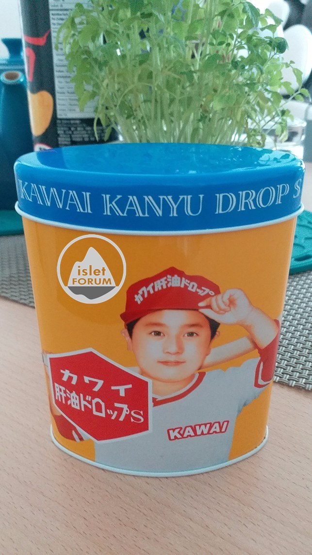 KAWAI日本肝油丸 (1).jpg