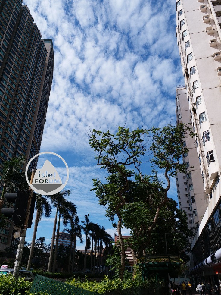 藍天白雲的香港 (3).jpg