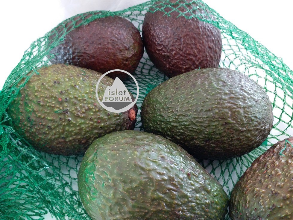 牛油果（酪梨）avocado (3).jpg