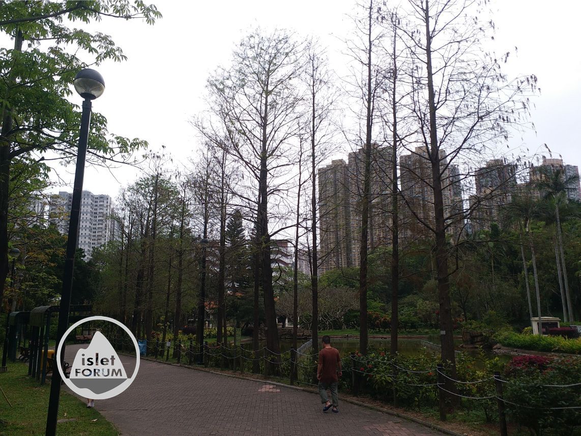 青衣公園tsing yi park (6).jpg