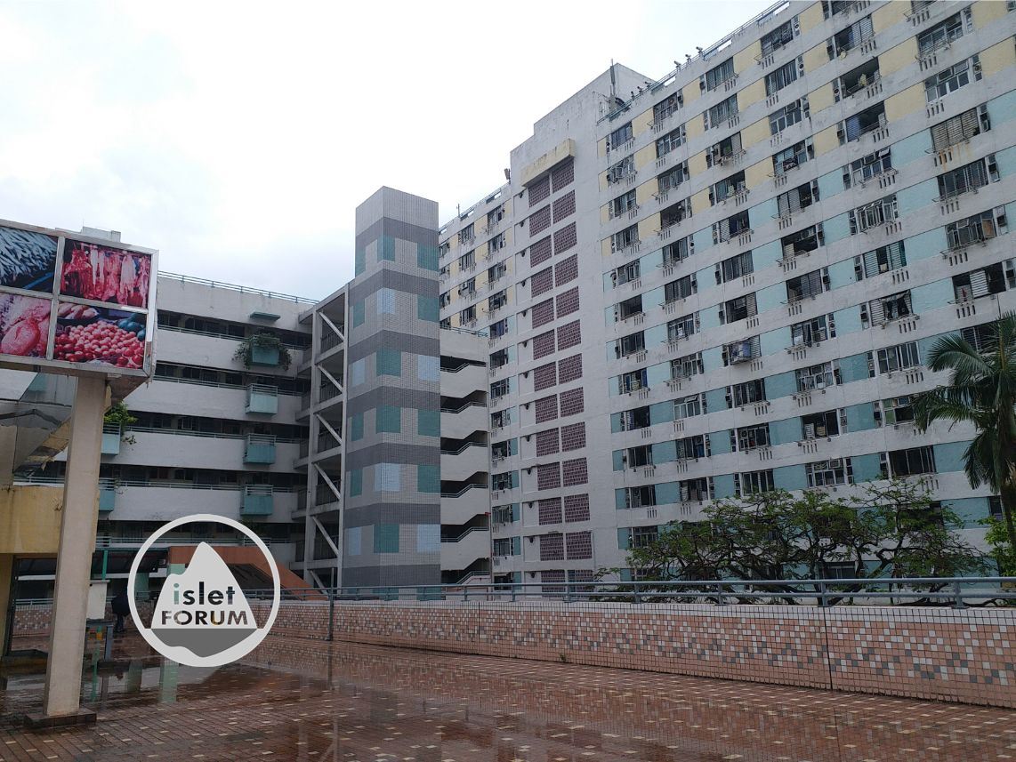 瀝源邨Lek Yuen Estate (11).jpg
