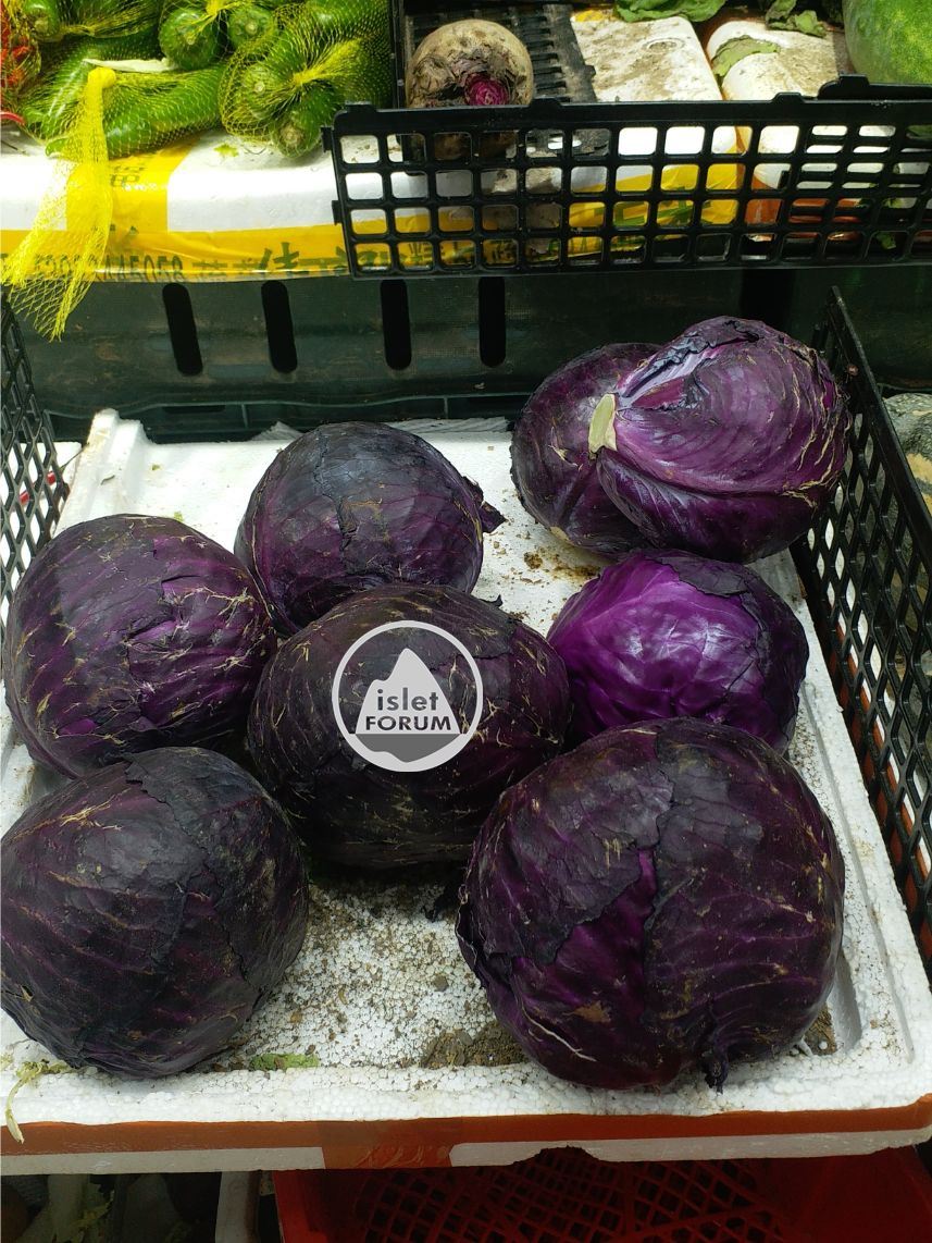紫色椰菜 (紫甘藍 , 紫椰菜).jpg