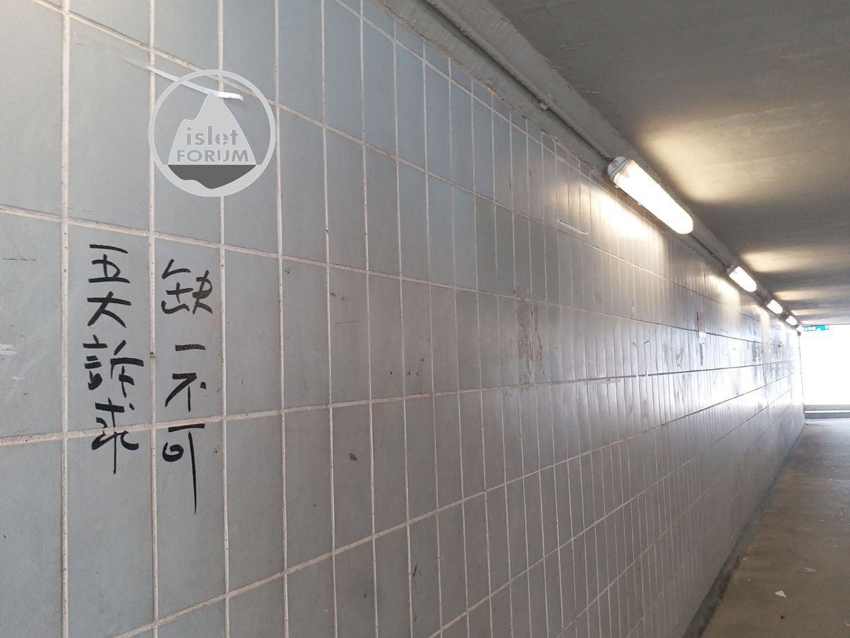 九龍城地下行人隧道 Pedestrian Subway of Kowloon City (14).jpg