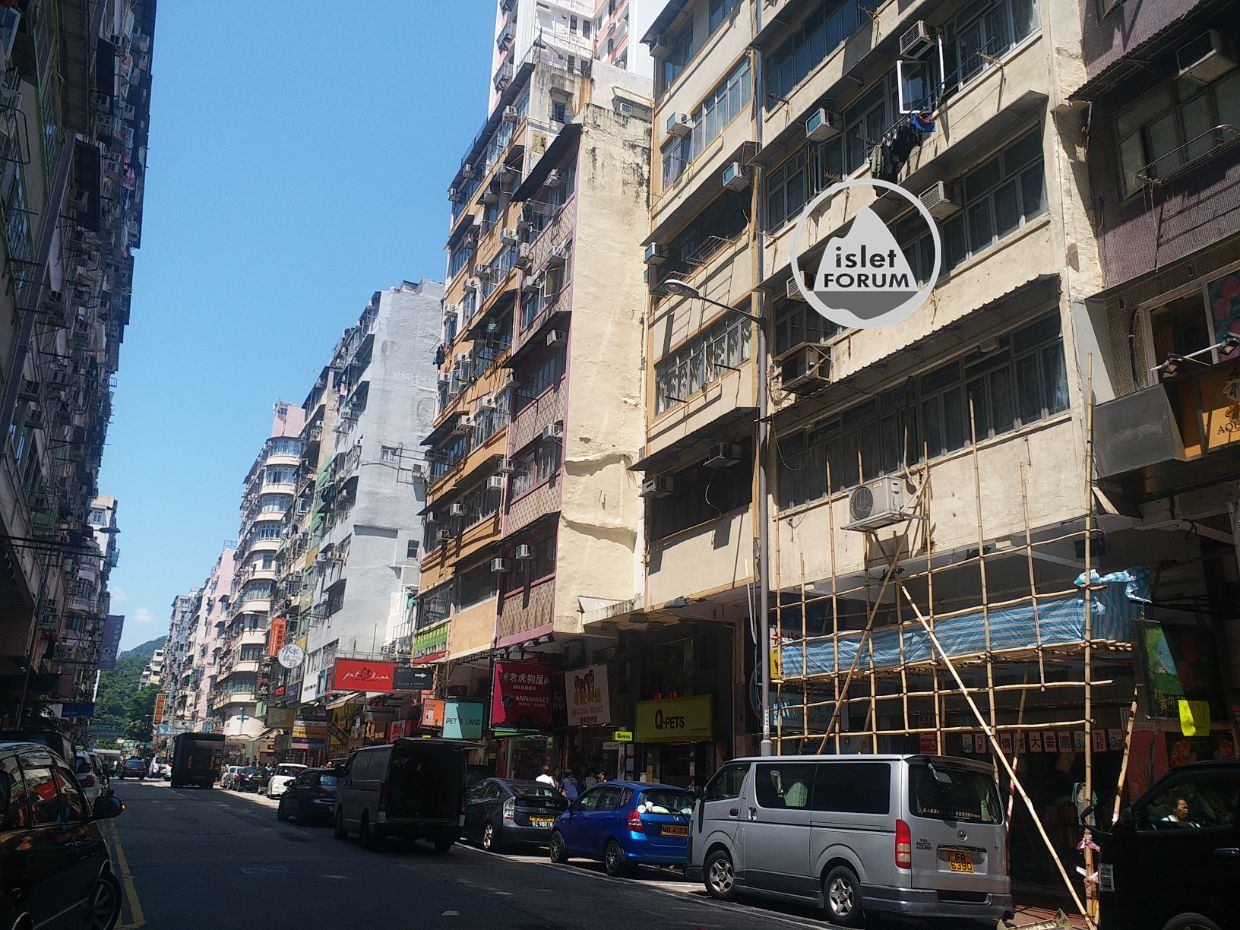 通菜街tung choi street (1).jpg