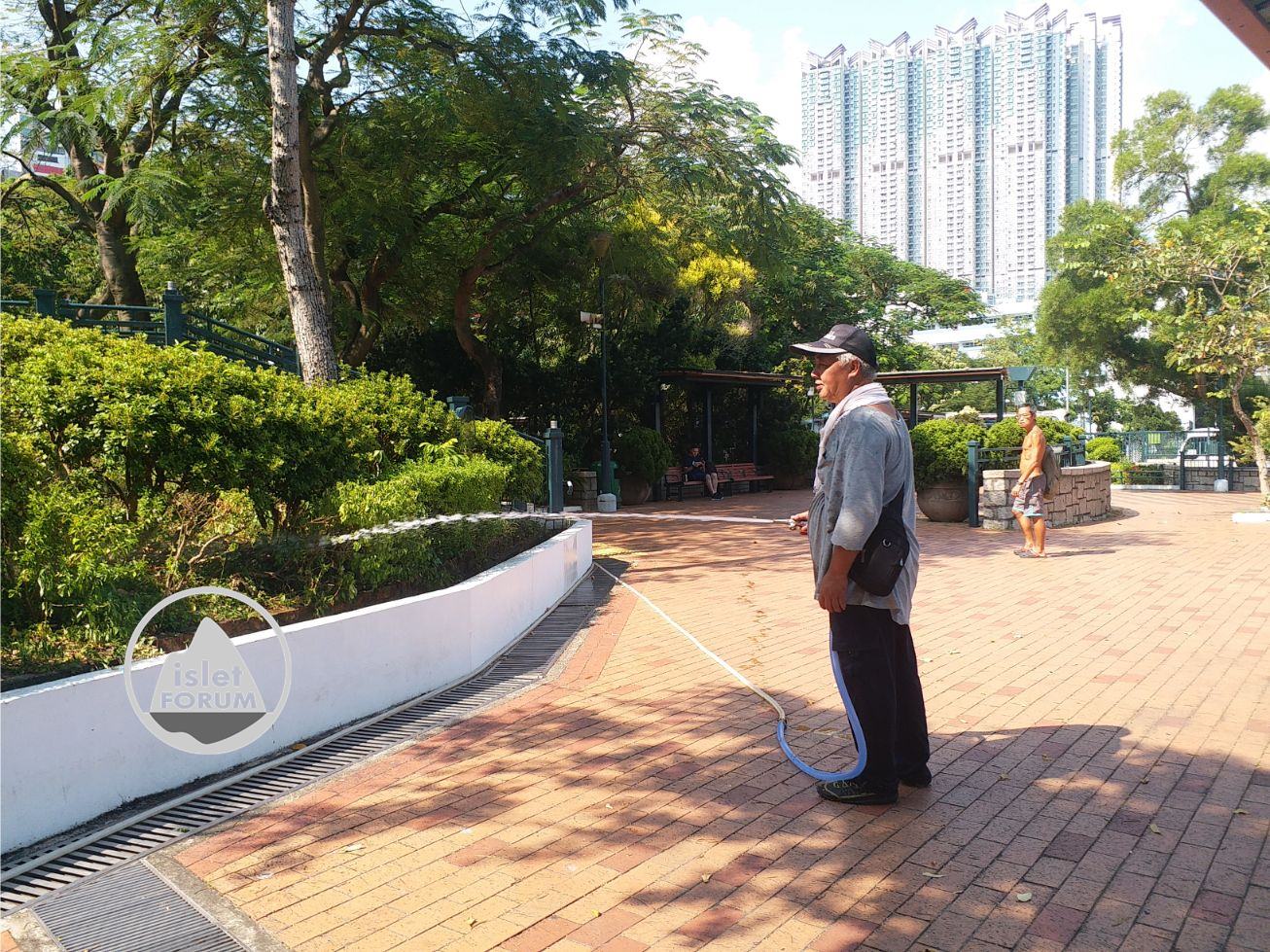 海心公園Hoi Sham Park (15).jpg