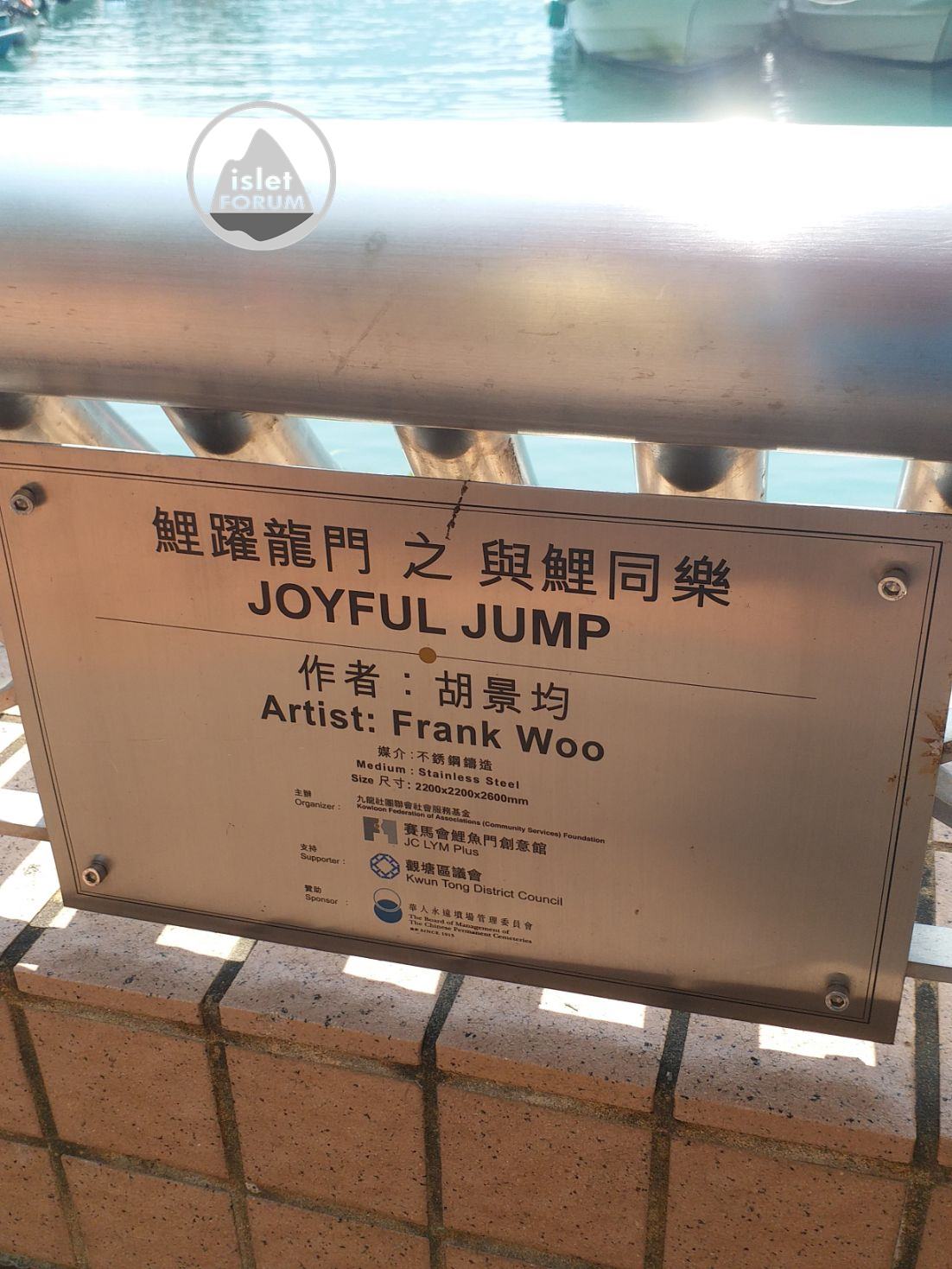 鯉躍龍門之與鯉同樂Joyful Jump (3).jpg