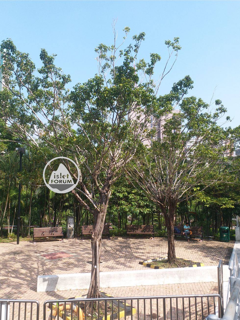 樂富遊樂場lok fu recreation ground (17).jpg