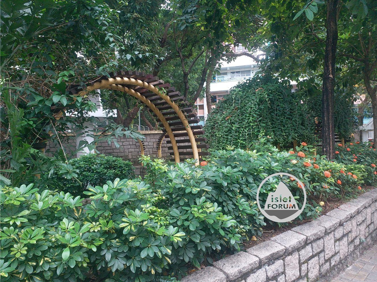 香港仔水塘道花園aberdeen reservoir road garden (2).jpg