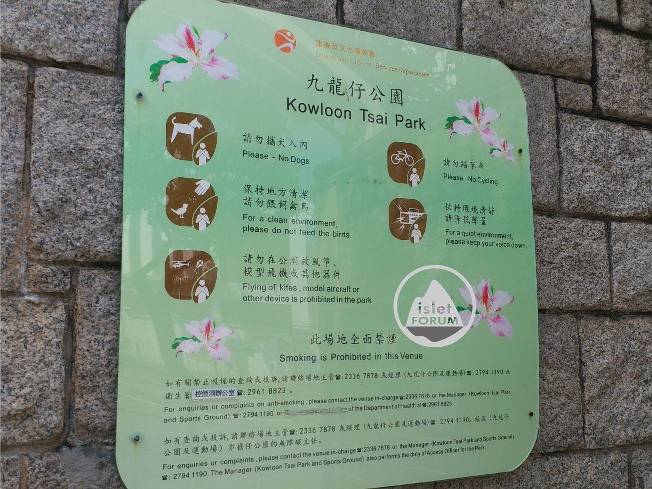 九龍仔公園kowloon tsai park (3).jpg