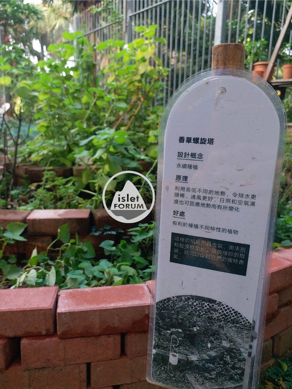 龍虎山環境教育中心 Lung Fu Shan Environmental Education Centre (44).jpg