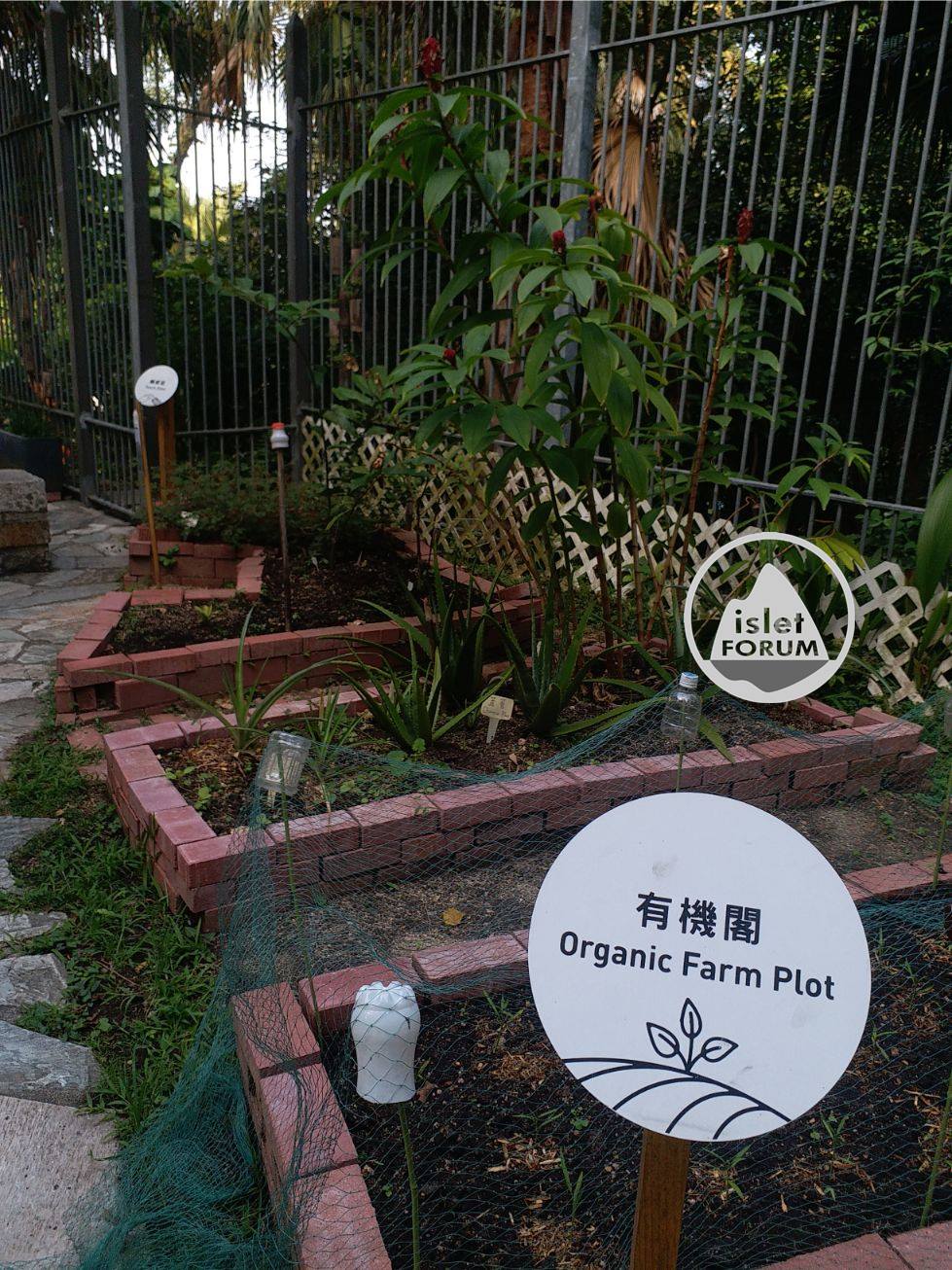 龍虎山環境教育中心 Lung Fu Shan Environmental Education Centre (45).jpg