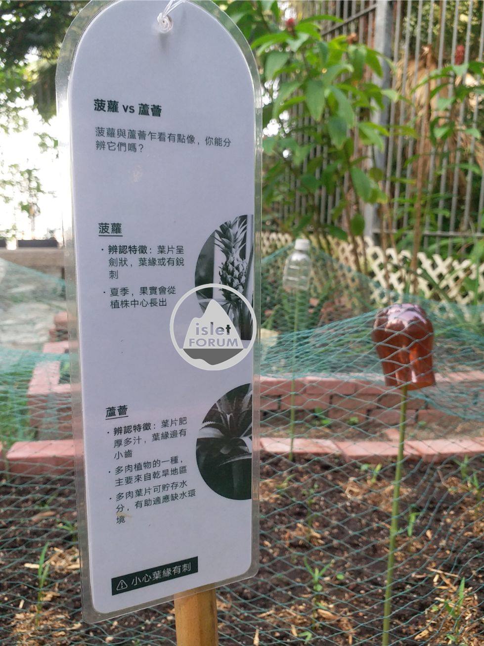 龍虎山環境教育中心 Lung Fu Shan Environmental Education Centre (46).jpg