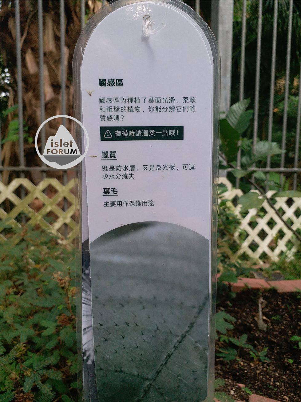 龍虎山環境教育中心 Lung Fu Shan Environmental Education Centre (50).jpg