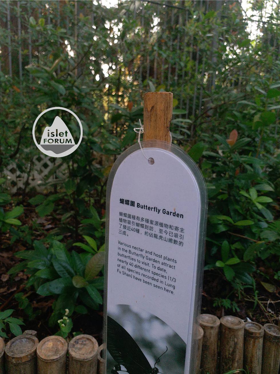 龍虎山環境教育中心 Lung Fu Shan Environmental Education Centre (53).jpg