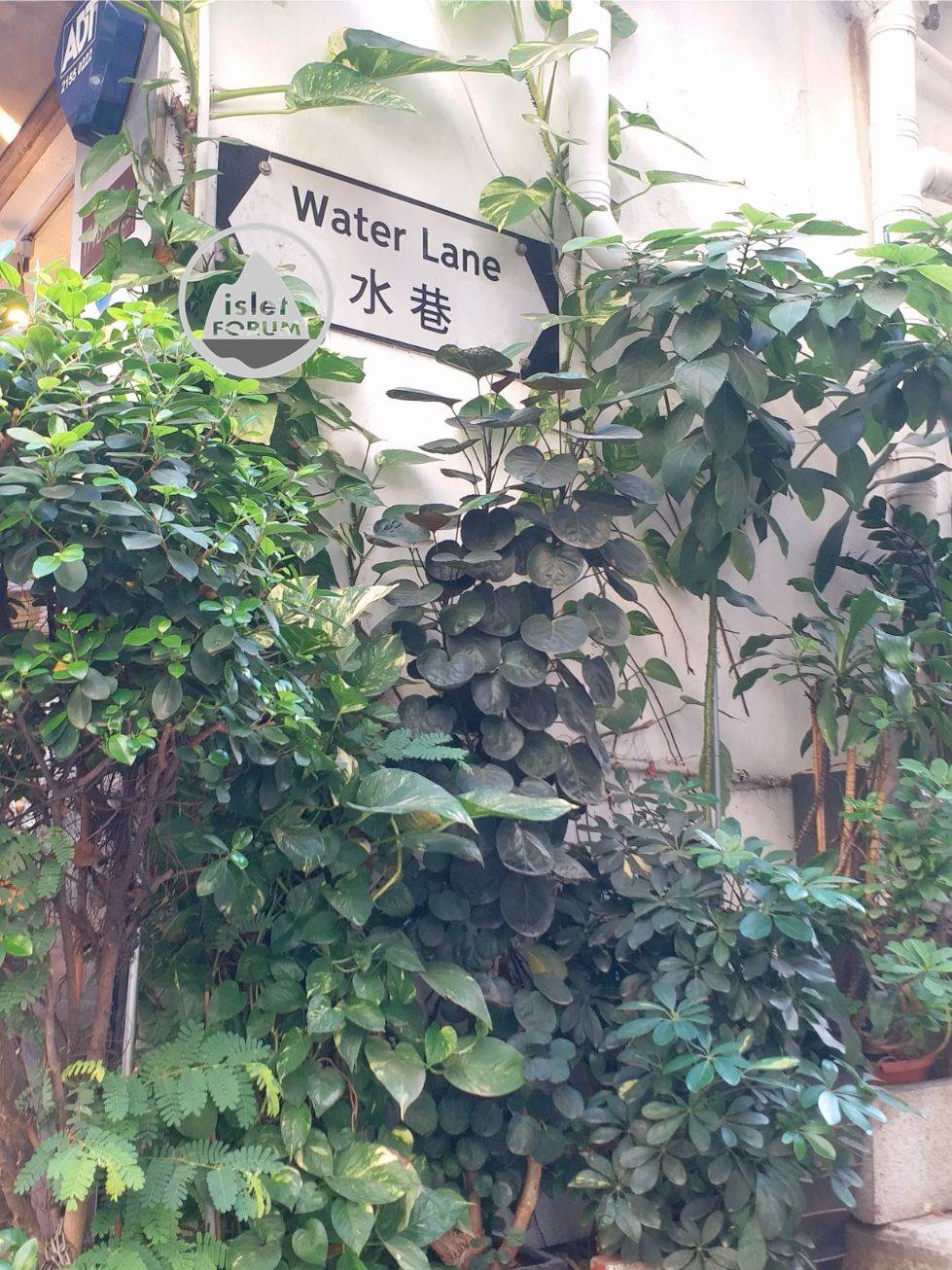 上環水巷 Water Lane (4).jpg