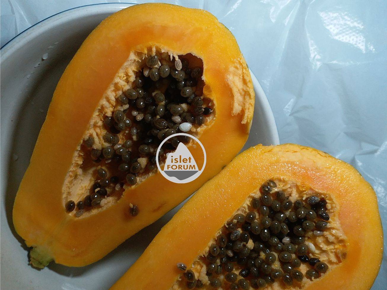 木瓜papaya (2).jpg
