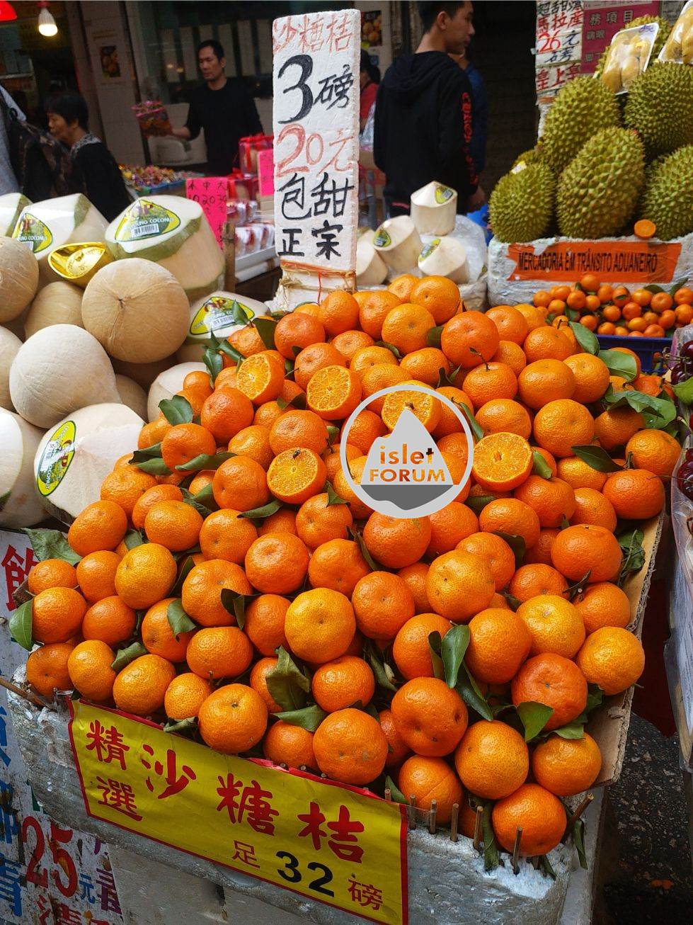 沙糖桔 Tangerine (1).jpg
