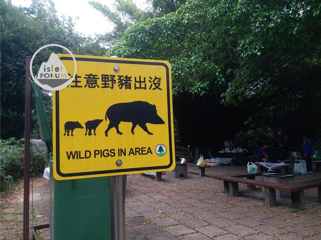 香港仔郊野公園aberdeen country park (2).jpg