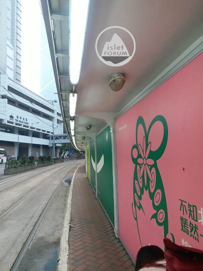 香港電車tram (1).jpg